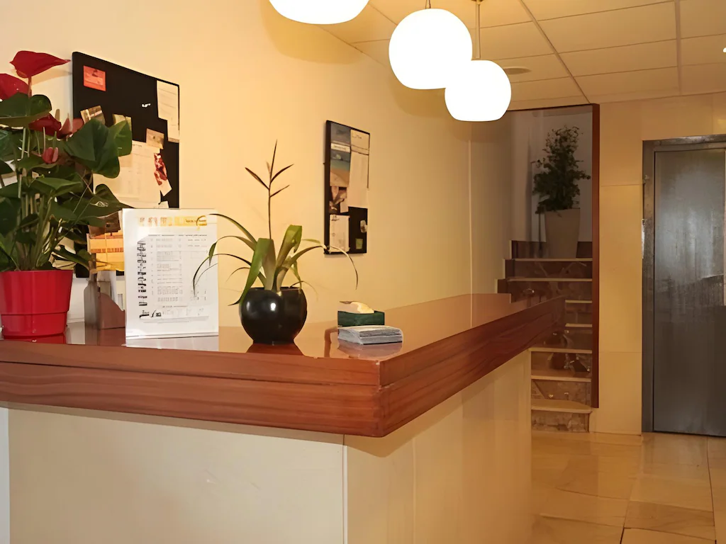 Recepción Ibiza Ripoll
